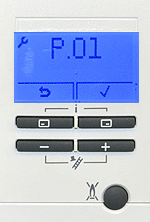 vl ecotec pro 30 hep.dis.p01code.gif